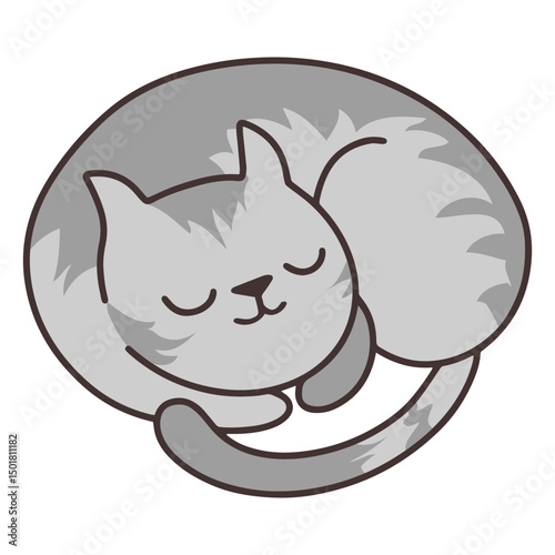 Charming cat peacefully sleeping
