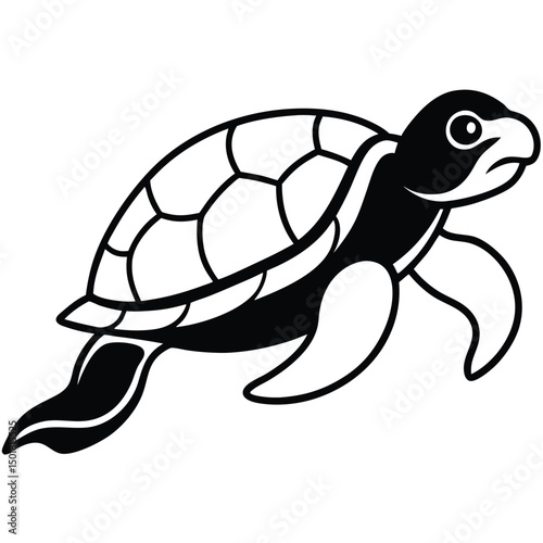 vector illustration of turtle