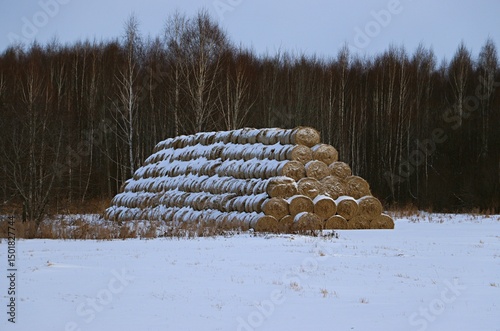 Rolls of straw stacked on a snowy field near a forest