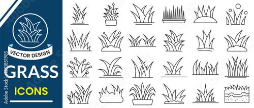 Grass line icon, Vector set. Grass icon set, lawn grass vector illustration. Collections of grass silhouette.

