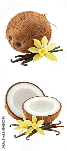 set of coconut with vanilla pods and flower, isolated
