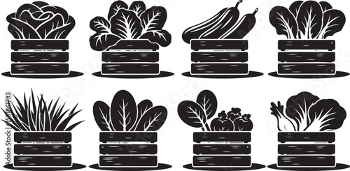 Set of black silhouette illustrations of garden vegetables growing in wooden crates, including lettuce, spinach, zucchini, and herbs, perfect for farm logos, gardening icons, and organic produce graph