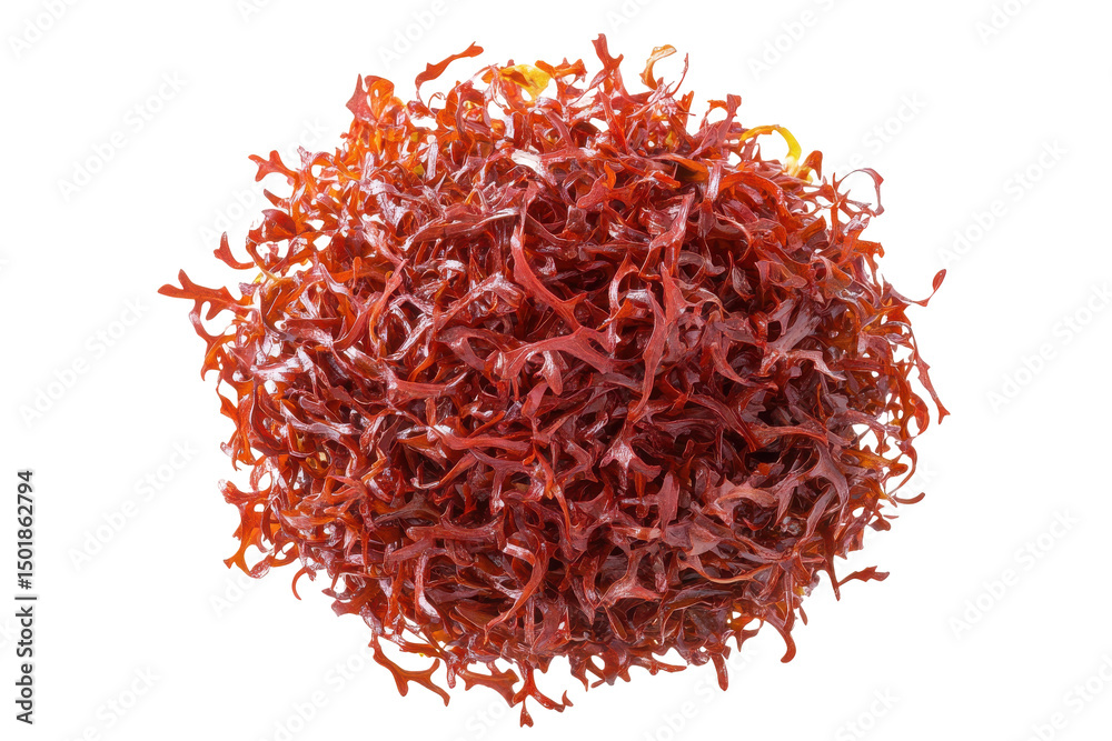 Fototapeta premium Crimson tangle on a black void A microscopic sea of organic forms