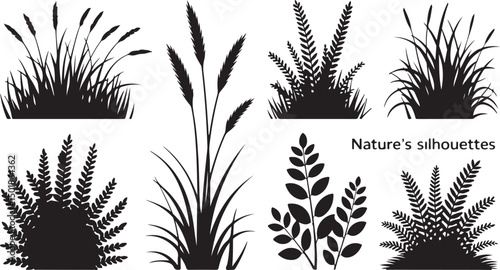 Collection of black silhouette vector illustrations featuring grasses, ferns, and leafy plants in various shapes, ideal for nature-themed design elements, botanical graphics, and outdoor decor