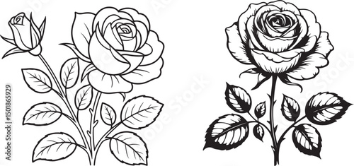 Black and white line art illustration of two blooming roses with leaves and stems in detailed hand-drawn style, perfect for floral tattoo designs, botanical sketches, and coloring pages