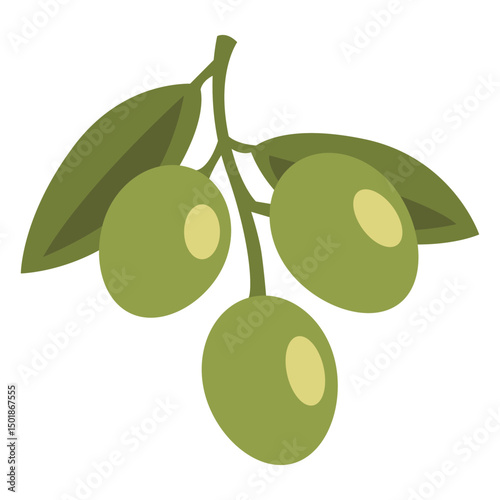 Small Olive Branch