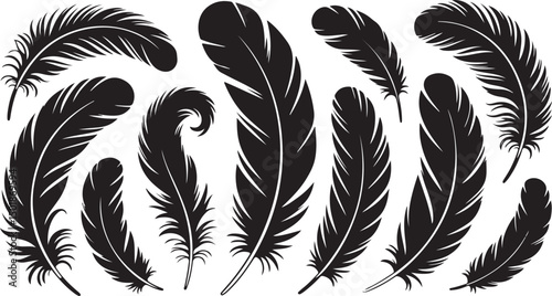 Black silhouette of various feathers, perfect for boho, nature, and decorative design themes.
