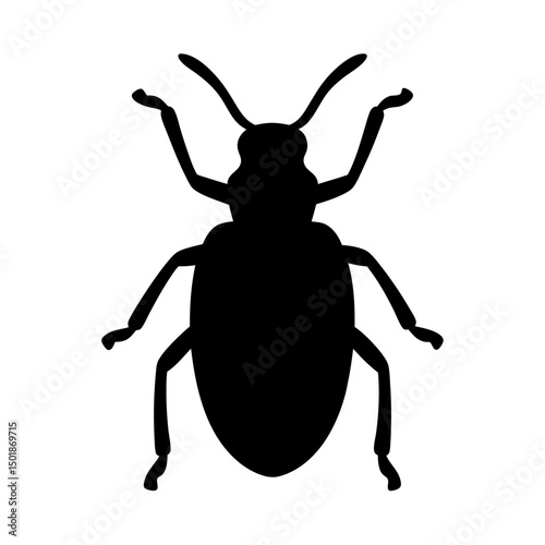 beetle silhouette vector, beetle black icon