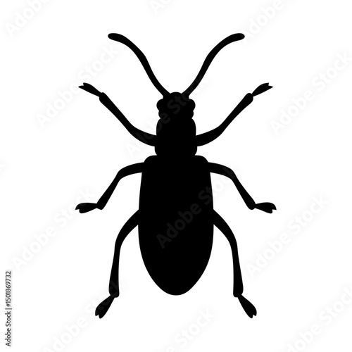 beetle silhouette vector, beetle black icon