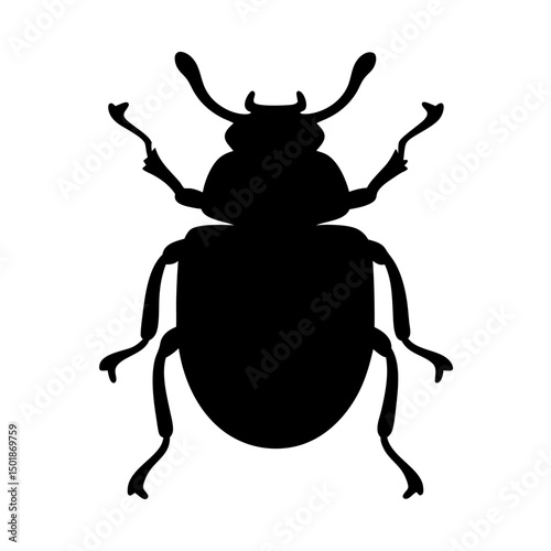 beetle silhouette vector, beetle black icon