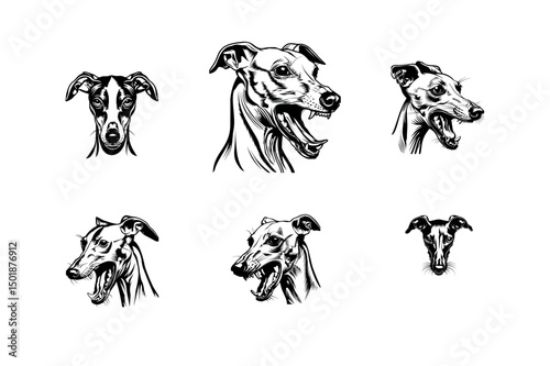 Six italian greyhound dog head illustrations