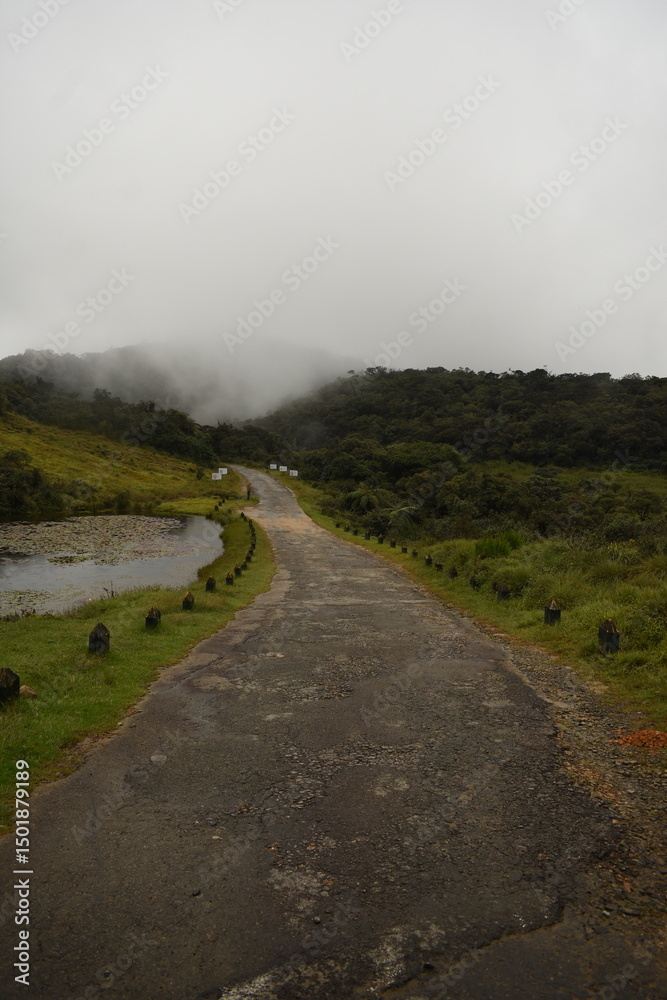 Fototapeta premium A Road and a Lake in Horton Plains National Park, Sri Lanka.