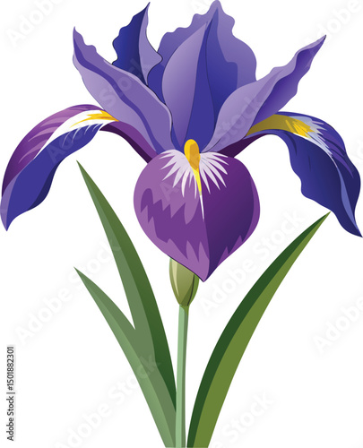 Iris