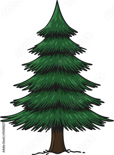Evergreen pine tree with green needles and brown trunk natural conifer illustration for seasonal design 