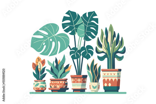 Flat color vector of popular indoor houseplants 