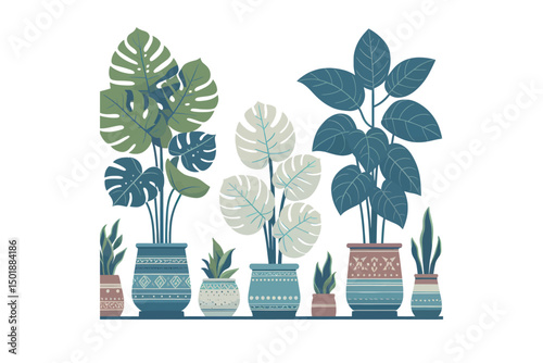 Flat color vector of popular indoor houseplants 