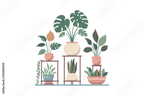 Flat color vector of popular indoor houseplants 