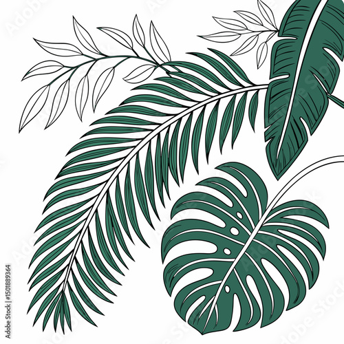 Set of tropical leaves and palm fronds vector illustration.