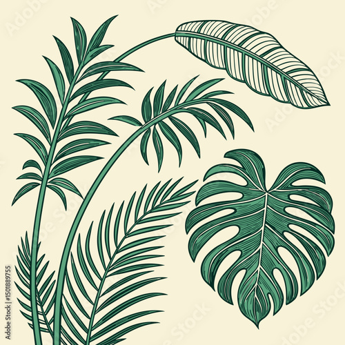 Set of tropical leaves and palm fronds vector illustration.