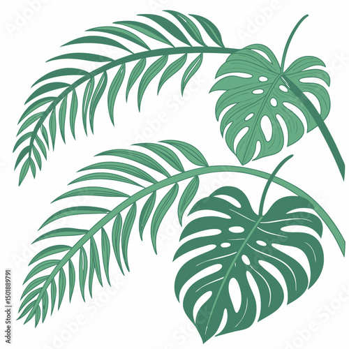 Set of tropical leaves and palm fronds vector illustration.