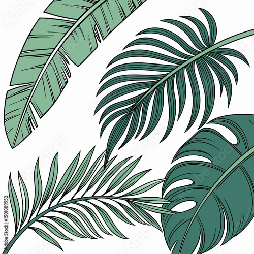 Set of tropical leaves and palm fronds vector illustration.