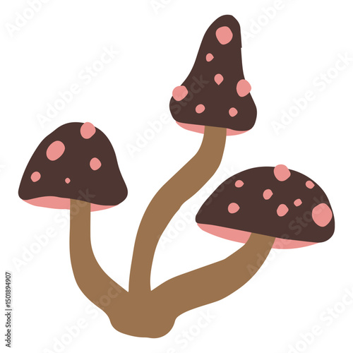 Three magic mushrooms