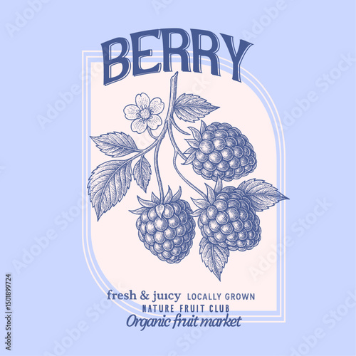 Fruit vintage t-shirt design.  raspberry fruit print. Nature fruit club. girls graphics and womens prints. Organic berry food artwork for for t-shirt.