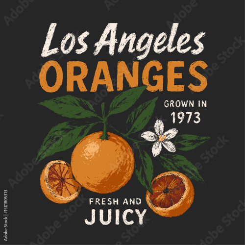 Hand Drawn brush effects. vintage retro orange graphics. summer oranges fruit print design. los angels oranges slogan t shirt design.