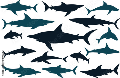 Collection of swimming sharks, showcasing nature's ocean wildlife