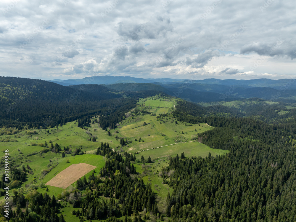 Naklejka premium Aerial view of lush green valleys and forests under a cloudy sky showcasing the natural beauty of the landscape