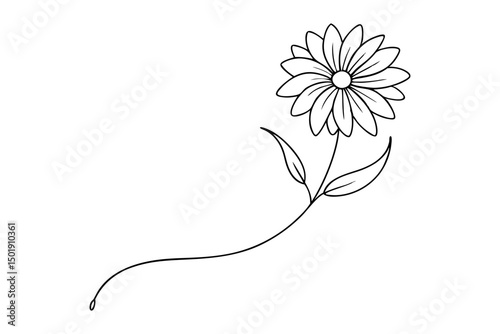Simple Aster Flower in Line Art Style