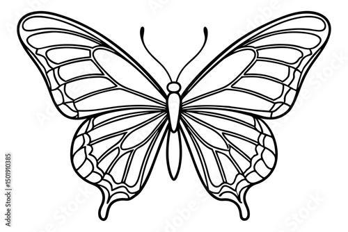 Minimalist Butterfly Vector in Line Art Style
