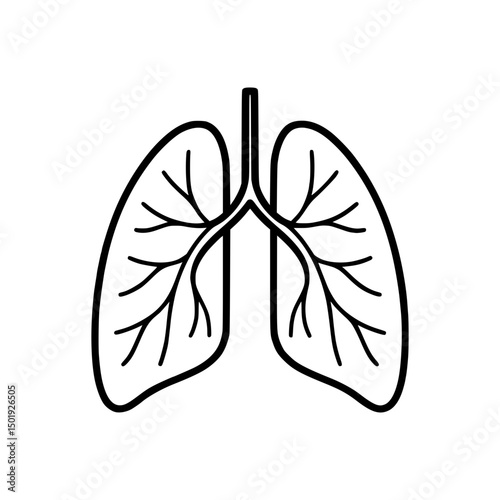 Human Lungs Outline Icon