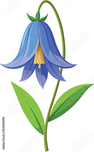 Bluebell