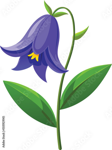 Bluebell