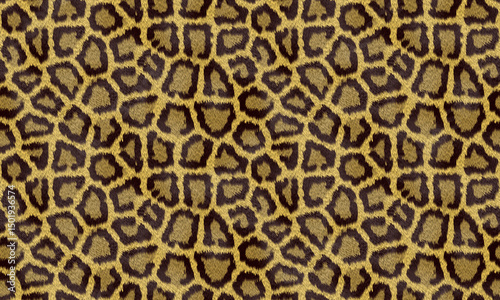 Wild Leopard Print Seamless Texture Bold Design Exotic Pattern