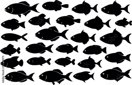 20 different fish silhouette 