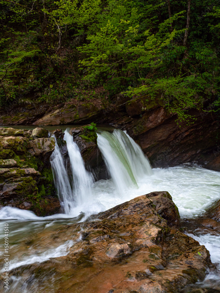 Fototapeta premium the waterfall