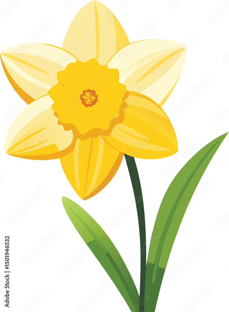 Fototapeta premium Daffodil