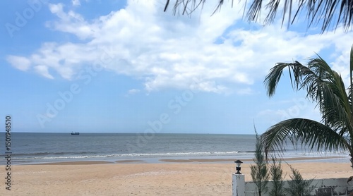 Fototapeta Naklejka Na Ścianę i Meble -  palm trees on the beach