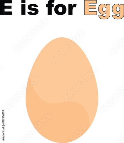 vector illustration of egg
