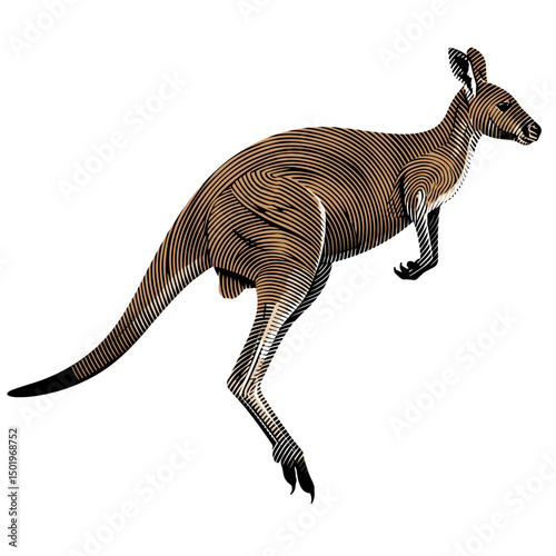 Kangaroo in dynamic line art style for wildlife design