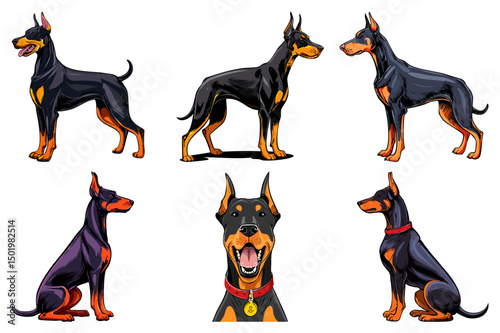 Portraits of a Doberman dog front and side view, Illustration of gorgeous fierce doberman dog sitting and standing, doberman pinscher, american doberman, dog doberman, set