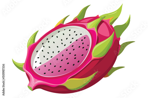 Vibrant vector illustration of dragon fruit with bright pink skin and white flesh showcasing details of tropical exotic fruit