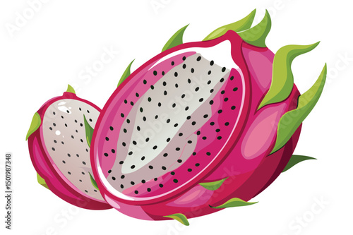 Vibrant vector illustration of dragon fruit with bright pink skin and white flesh showcasing details of tropical exotic fruit