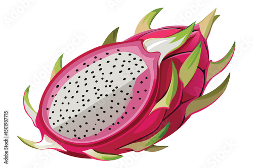 Vibrant vector illustration of dragon fruit with bright pink skin and white flesh showcasing details of tropical exotic fruit