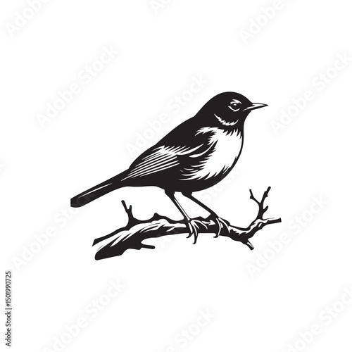 **"Classic American Robin Vector Silhouette: Beloved Songbird Design Featuring Upright Stance, Rounded Body, and Distinctive Beak in Clean, Minimalist Style for Crafts and Digital Art"**

