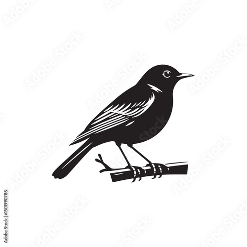 **"Classic American Robin Vector Silhouette: Beloved Songbird Design Featuring Upright Stance, Rounded Body, and Distinctive Beak in Clean, Minimalist Style for Crafts and Digital Art"**

