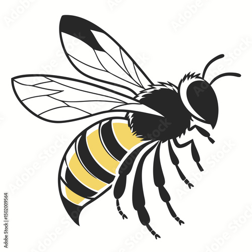 bee vector illustration
