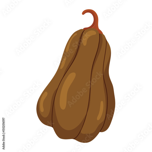 Brown squash vegetable icon. Vector